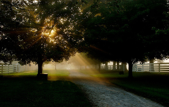 Shaker Village