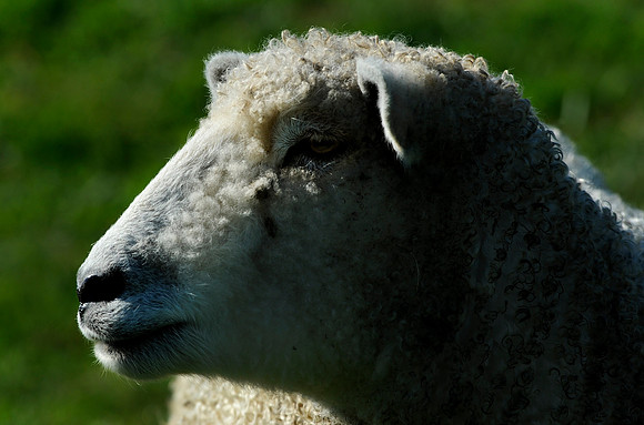 EquinoxFarm8_008
