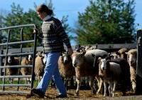 EquinoxFarm9_009
