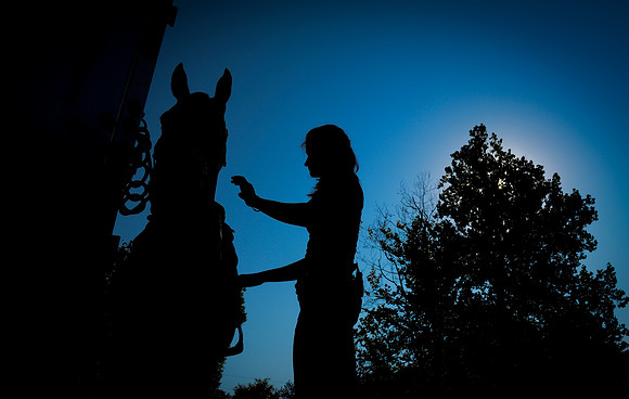 _ASC0442_014